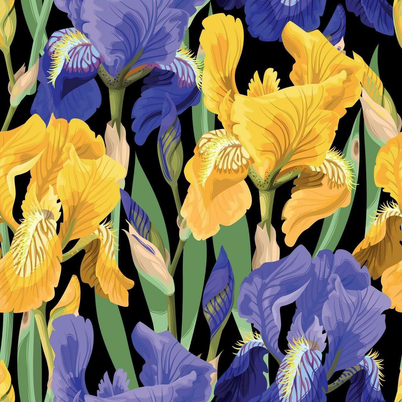 Belles and Whistles Floral on Black - Rice Decoupage Paper
Image of a close up of Floral on Black - Rice Decoupage Paper which has purple and yellow flowers
