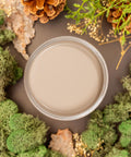 Overhead shot of Cobblestone paint jar. Staged with moss, pinecones, and mushrooms around it.