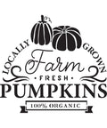 A black and white illustration featuring the text "Locally Grown Farm Fresh Pumpkins," with two stylized pumpkins on top. Below, a banner reads "100% Organic." Decorative swirls accent the text.