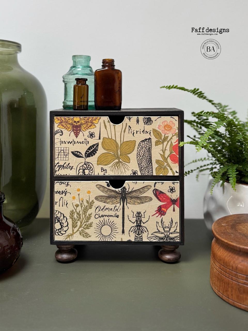 A small chest of drawers with botanical and insect illustrations, including butterflies, bees, and plants. It sits on a table surrounded by glass bottles, a green vase, a potted fern, and a wooden object.