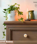 A brown wooden dresser with an ornate knob. A potted ivy plant, a lit candle, ceramic jug, and books are on top. Soft, warm lighting illuminates the scene. A logo for "faff designs" is in the upper right corner.