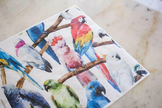 Belles and Whistles Birds - Rice Decoupage Paper is a simple way to visually enhance any surface of your project! Layout of Birds - Rice Decoupage Paper on marble table.