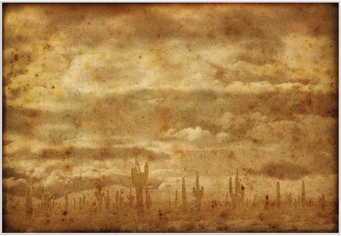Belles and Whistles Kalahari - A1 Rice Decoupage Paper 
This decoupage paper looks like there is a sepia filter placed over it.  On the bottom of the decoupage is a desert scene with a field of saguaros and it looks like there are menacing clouds rolling in.  It's a desolate scene.