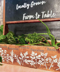 Belles and Whistles Locally Grown - Stencil provides an extra decorative touch to any project! Wooden gardening box with "Thyme, Rosemary, Cilantro, Parsley, Basil, and Dill" applied on the front top in Brown Dixie Mud. Below the names of the herbs, the corresponding stencils of the herb have been applied in White Dixie Mud. Inside the box there are multiple different plants and herbs. Behind the box there is a large blackboard with "Locally Grown" and "Farm to Table" applied in white paint.