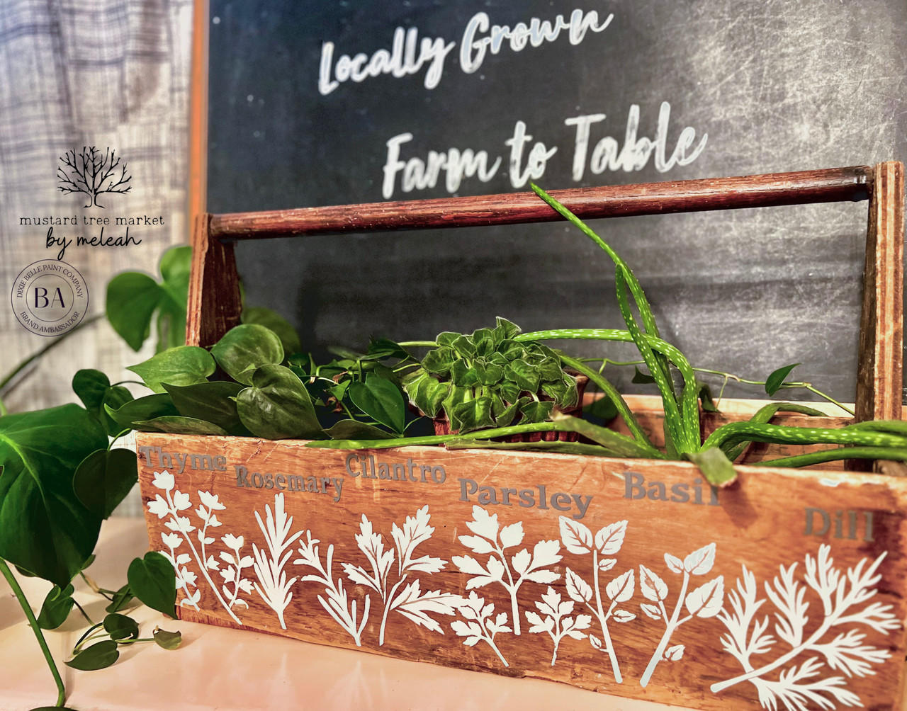 Belles and Whistles Locally Grown - Stencil provides an extra decorative touch to any project! Wooden gardening box with "Thyme, Rosemary, Cilantro, Parsley, Basil, and Dill" applied on the front top in Brown Dixie Mud. Below the names of the herbs, the corresponding stencils of the herb have been applied in White Dixie Mud. Inside the box there are multiple different plants and herbs. Behind the box there is a large blackboard with "Locally Grown" and "Farm to Table" applied in white paint.