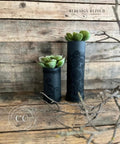 Two small black painted candle holders with succulents inside. Black Velvet Touch has been applied to the holders with the Mandala Silkscreen Stencil.
