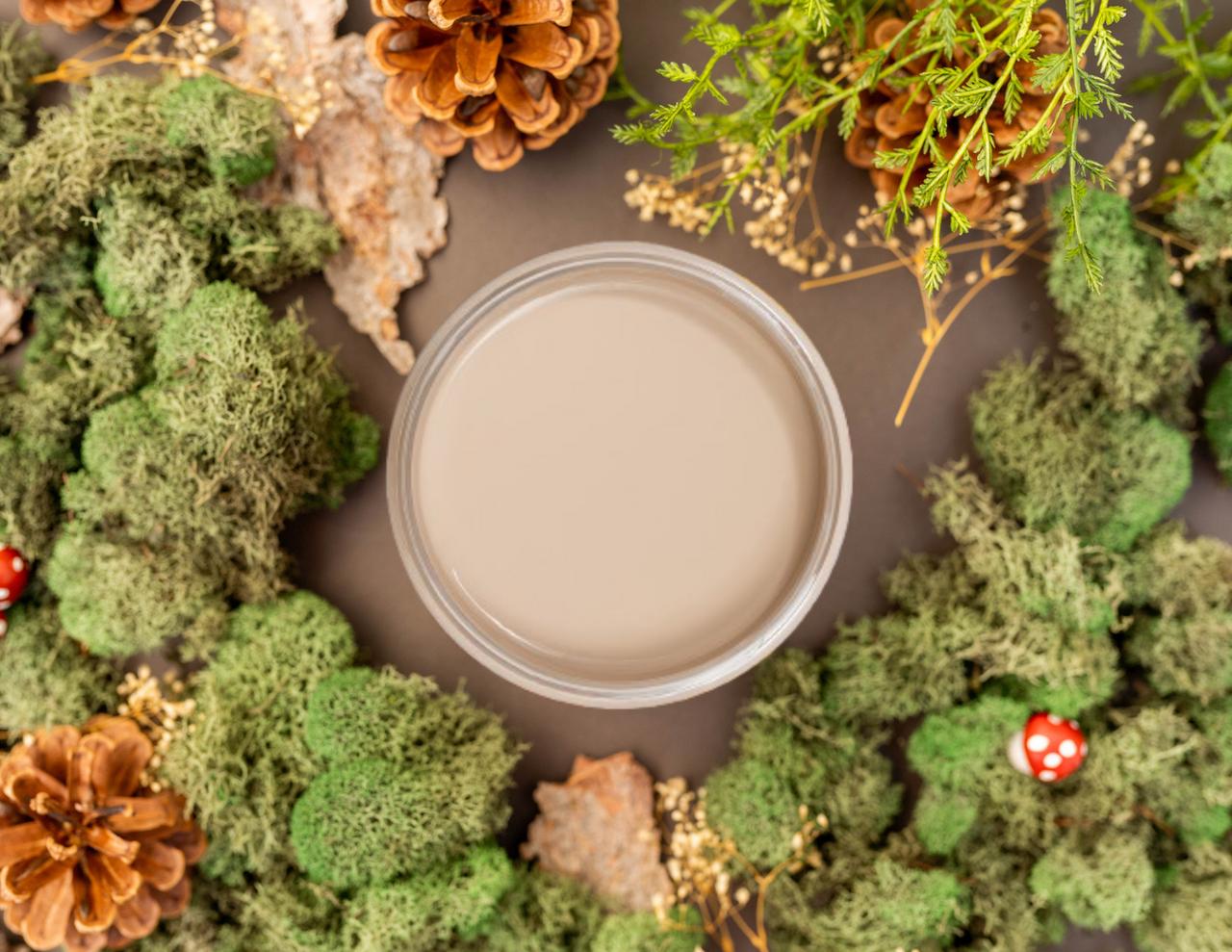 Overhead shot of Cobblestone paint jar. Staged with moss, pinecones, and mushrooms around it.