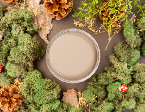Overhead shot of Cobblestone paint jar. Staged with moss, pinecones, and mushrooms around it.
