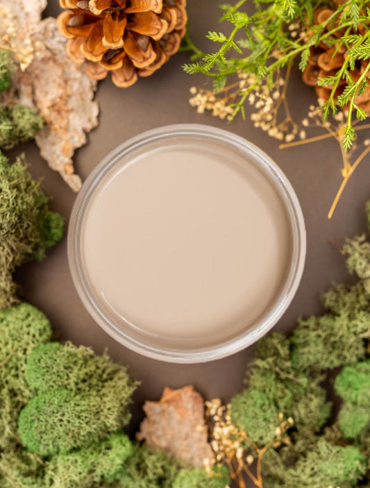 Overhead shot of Cobblestone paint jar. Staged with moss, pinecones, and mushrooms around it.