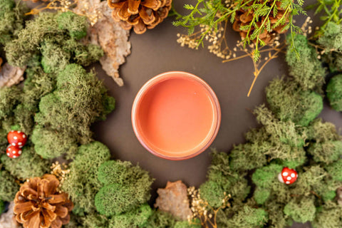 Overhead shot of Cottage Door paint jar. Staged with moss, pinecones, and mushrooms around it.
