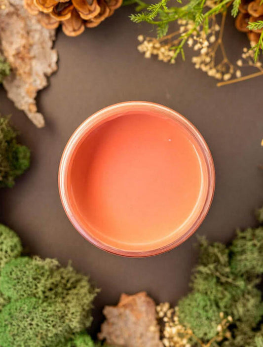 Overhead shot of Cottage Door paint jar. Staged with moss, pinecones, and mushrooms around it.