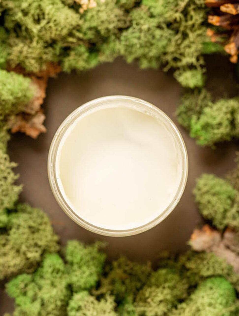Overhead shot of Cucumber Ice paint jar. Staged with moss, pinecones, and mushrooms around it.