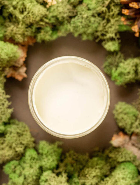 Overhead shot of Cucumber Ice paint jar. Staged with moss, pinecones, and mushrooms around it.