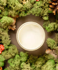 Overhead shot of Cucumber Ice paint jar. Staged with moss, pinecones, and mushrooms around it.
