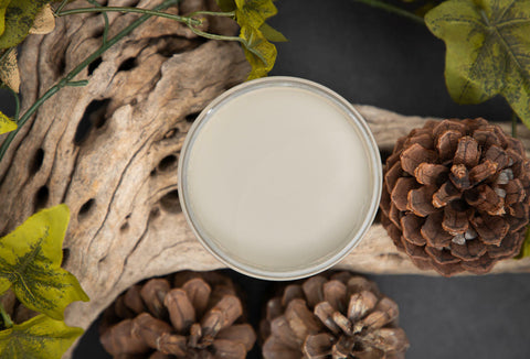 Dixie Belle Paint Dried Sage Chalk Mineral Paint is the perfect paint for any DIY project!
Opened container of  Dried Sage Chalk Mineral Paint staged with driftwood,greenery and pinecones around container.