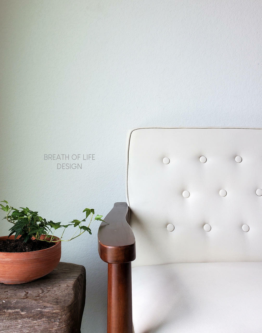 Dixie Belle Paint Drop Cloth Chalk Mineral Paint is the perfect paint for any DIY project! White chalk painted chair with a wooden arm. Staged next to a wooden table with a clay pot containing a pothos plant on top.