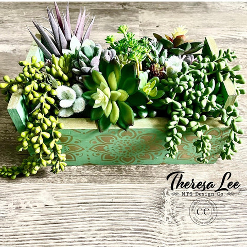 Dixie Belle Paint Kudzu Chalk Mineral Paint is the perfect paint for any DIY project!
A wooden box painting with Kudzu Chalk Mineral Paint and staged with an assortment of faux succulents inside box.