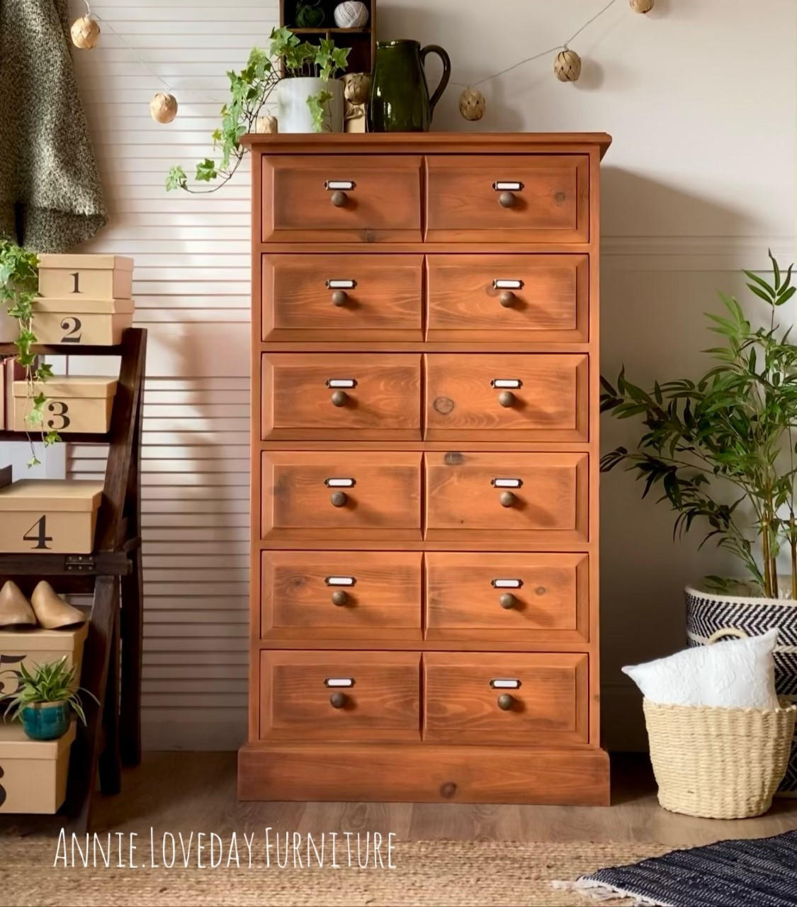 Dixie Belle Paint Terracotta Chalk Mineral Paint painted furniture piece with 12 drawers and staged with plants and another side dresser