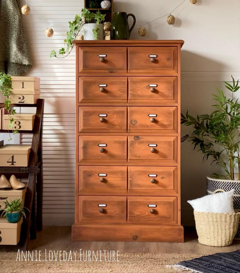 Dixie Belle Paint Terracotta Chalk Mineral Paint painted furniture piece with 12 drawers and staged with plants and another side dresser