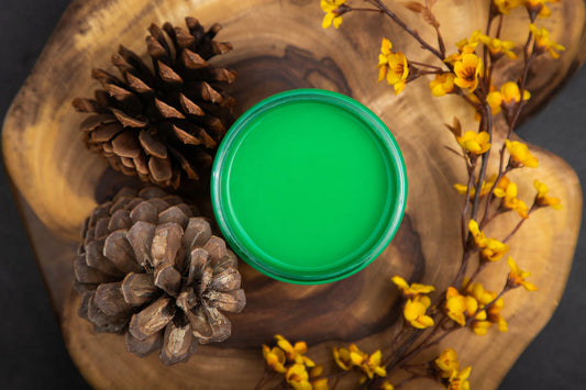 Dixie Belle Paint Tree Frog Green Chalk Mineral Paint is the perfect paint for any DIY project!  An open jar of bright green Dixie Belle Tree Frog Green Chalk Mineral Paint sitting on a piece of wood with pine cones and branches with flowers.