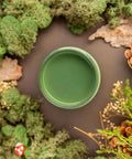 Overhead shot of English Ivy paint jar. Staged with moss, pinecones, and mushrooms around it.