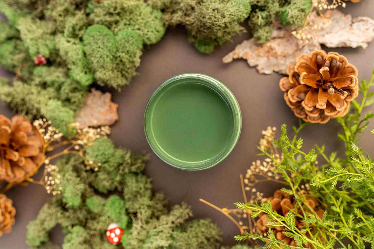 Overhead shot of English Ivy paint jar. Staged with moss, pinecones, and mushrooms around it.