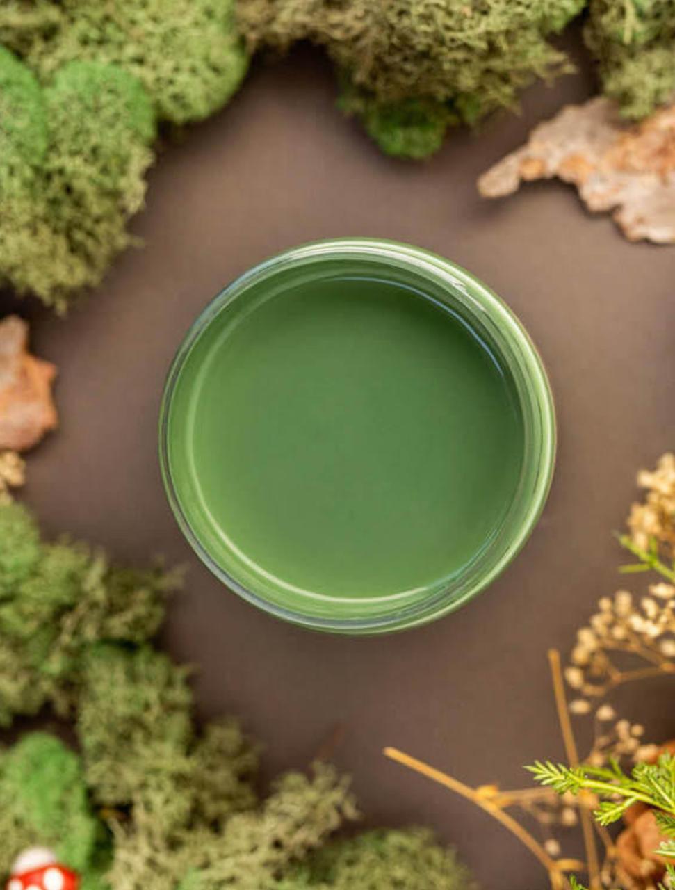 Overhead shot of English Ivy paint jar. Staged with moss, pinecones, and mushrooms around it.