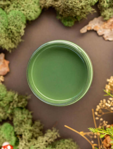 Overhead shot of English Ivy paint jar. Staged with moss, pinecones, and mushrooms around it.
