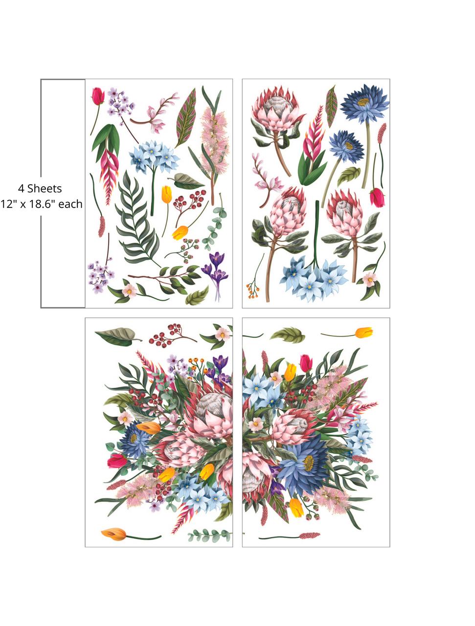 A vibrant botanical illustration showcasing an array of colorful flowers, including pink proteas, blue cornflowers, and tulips, with assorted leaves and berries. "4 Sheets- 12 in. x 18.6 in. each"