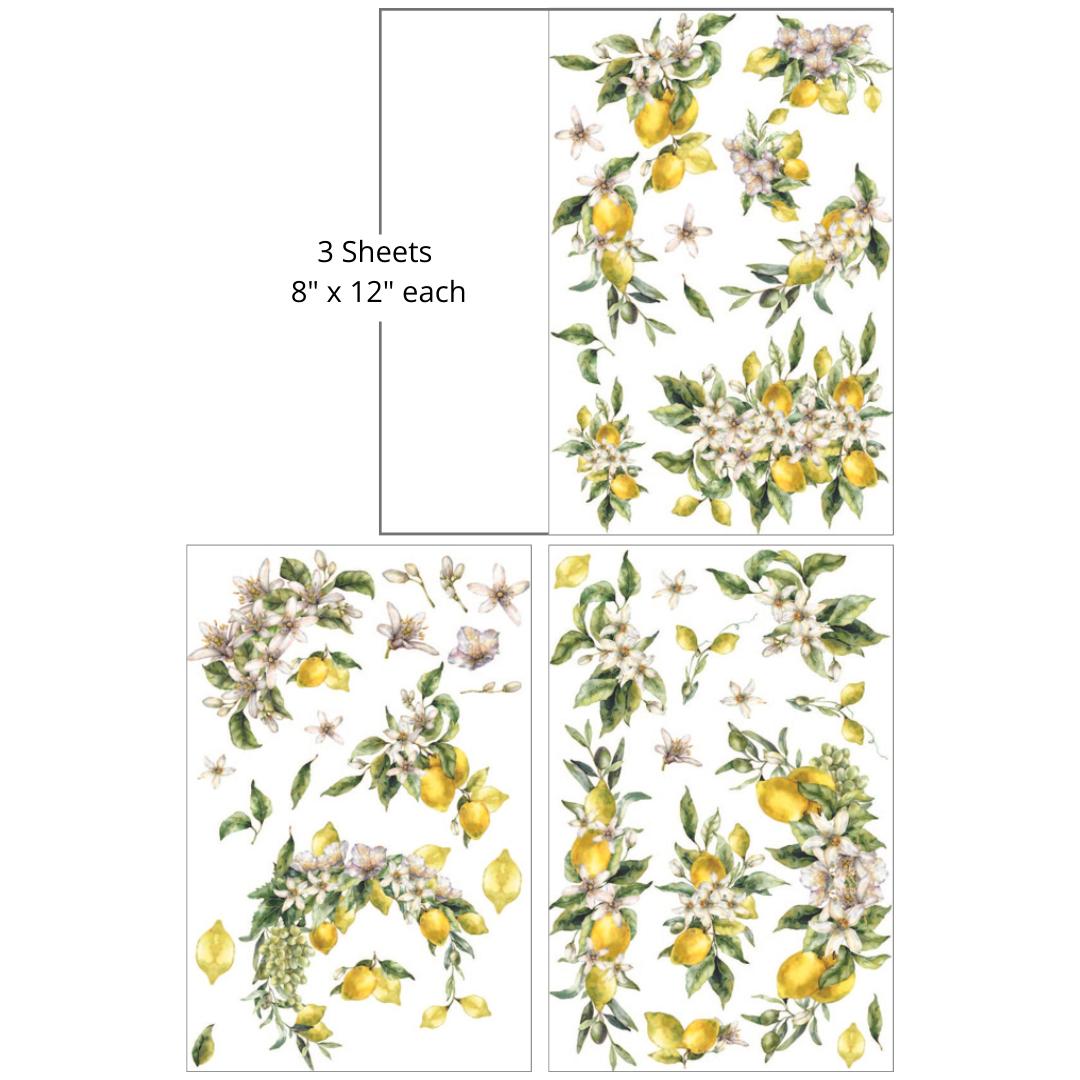 Seamless pattern of illustrations featuring clusters of vibrant yellow lemons with green leaves and white blossoms. "3 Sheets- 8 in x 12 in. each"