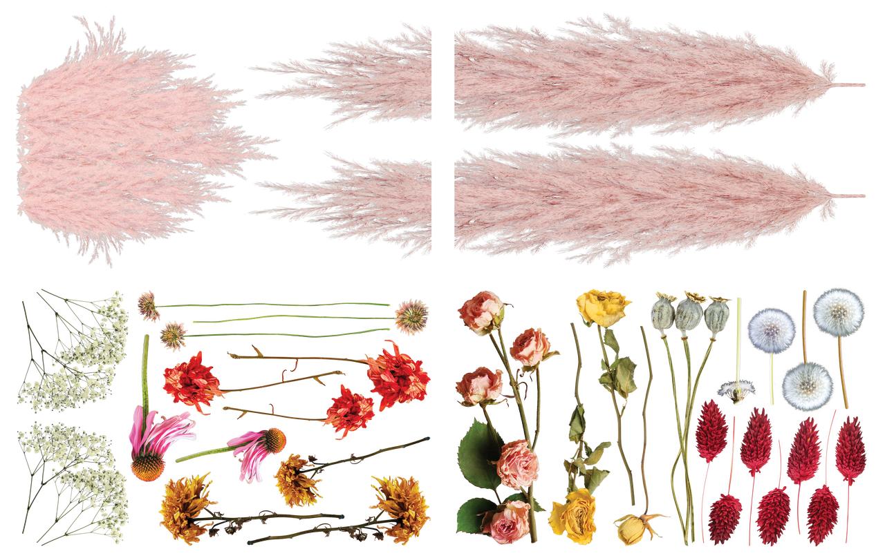 Image of Pink Pampas and Dried Wilds Transfer. A collection of pink, orange, yellow and red wildflowers and pink pampas.