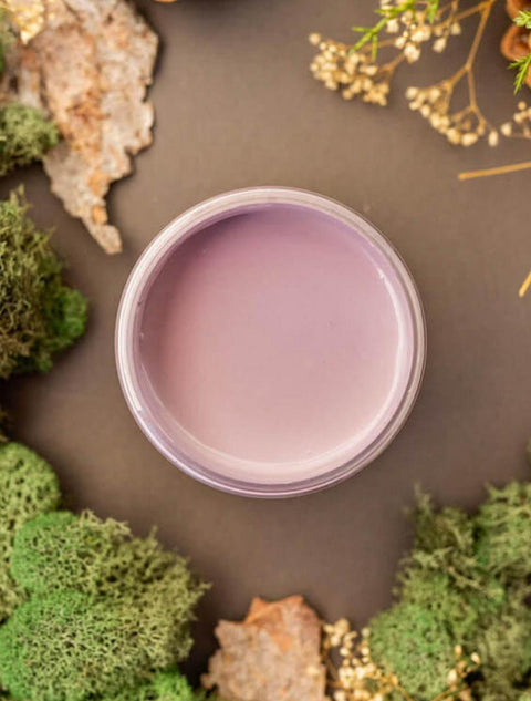 Overhead shot of Secret Path paint jar. Staged with moss, pinecones, and mushrooms around it.