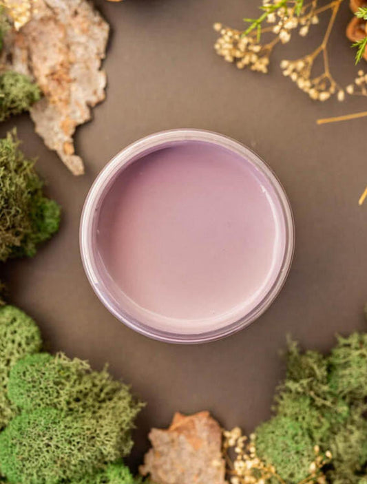 Overhead shot of Secret Path paint jar. Staged with moss, pinecones, and mushrooms around it.