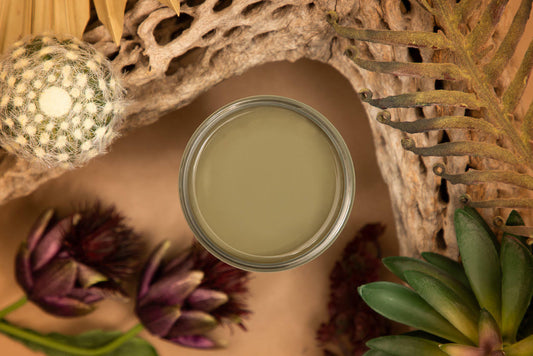 Cactus Silk All-In-One paint is perfect for painting kitchen cabinets, bathroom cabinets and painting furniture.
Top view of the Cactus Silk All-In-One paint staged with cactus, driftwood and greenery.