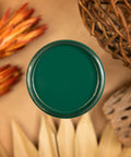 Midnight Green Silk All-In-One paint is perfect for painting kitchen cabinets, bathroom cabinets and painting furniture. Top view of Midnight Green Silk All-In-One paint with desert flowers and plants in the background.