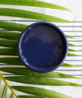 Nautical Silk All-In-One paint is perfect for painting kitchen cabinets, bathroom cabinets and painting furniture. Dark blue open paint can top view sitting on a palm frond.