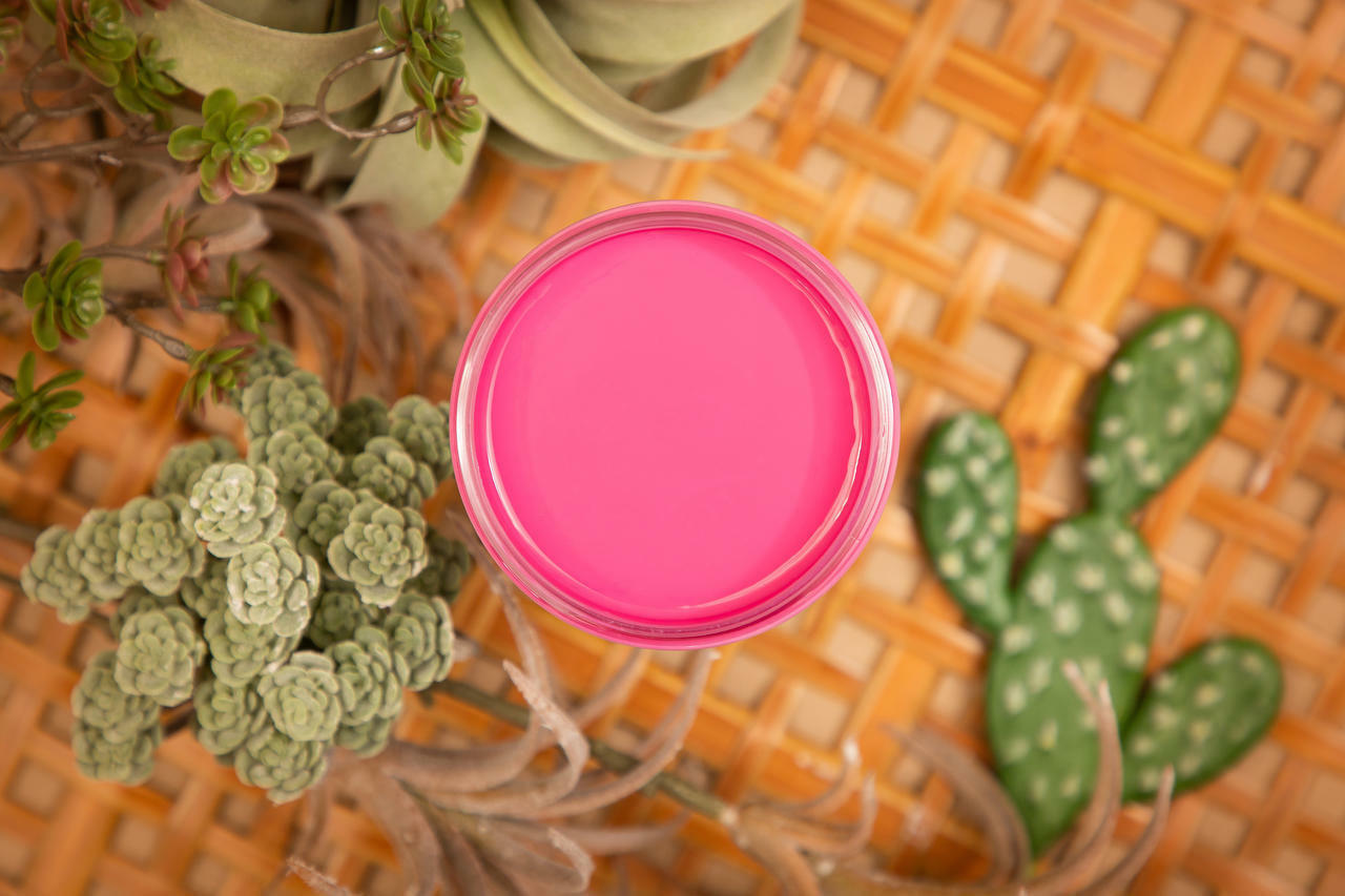 Prickly Pear Silk All-In-One paint is perfect for painting kitchen cabinets, bathroom cabinets and painting furniture. Top view of open paint can of a pink silk mineral paint . Staged with a cactus and succulents.