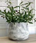 Prairie Dawn Terra Clay Paint provides endless possibilities for your imagination and can be used on wood, canvas, tile, fabric and more! Clay painted pot in cream and black blended together to look concrete. With an olive plant inside.