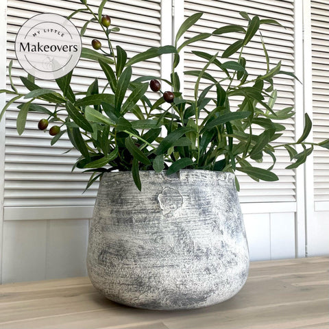 Prairie Dawn Terra Clay Paint provides endless possibilities for your imagination and can be used on wood, canvas, tile, fabric and more! Clay painted pot in cream and black blended together to look concrete. With an olive plant inside.