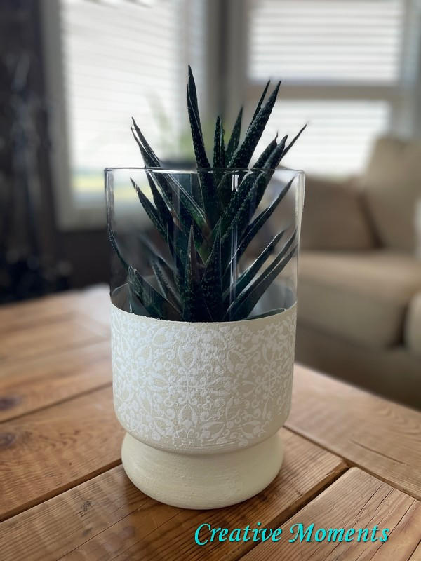 Prairie Dawn Terra Clay Paint provides endless possibilities for your imagination and can be used on wood, canvas, tile, fabric and more! Clay painted cream flower pot with a white design and aloe plant inside.