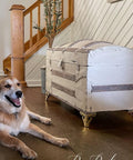 A chest that has been chalk painted in white and staged in front of a staircase.  A dog is sitting to the side of it.