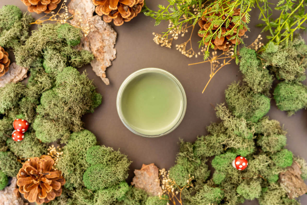Overhead shot of Weeping Willow paint jar. Staged with moss, pinecones, and mushrooms around it.