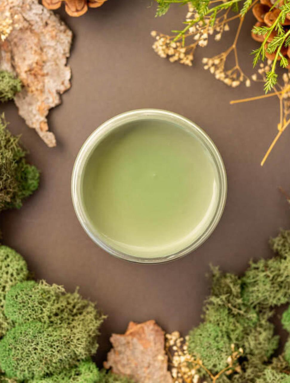 Overhead shot of Weeping Willow paint jar. Staged with moss, pinecones, and mushrooms around it.