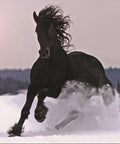 Image of the Winter Gallop A1 Rice Decoupage Paper. A majestic black horse galloping powerfully through a snow-covered landscape, with its mane and tail flowing in the wind, under a hazy  sun.