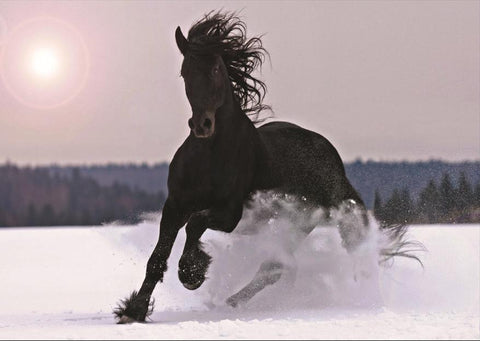 Image of the Winter Gallop A1 Rice Decoupage Paper. A majestic black horse galloping powerfully through a snow-covered landscape, with its mane and tail flowing in the wind, under a hazy  sun.