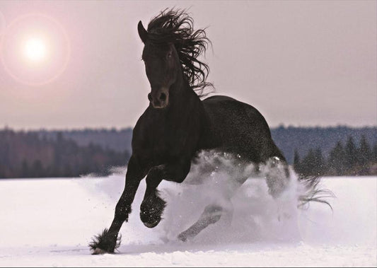 Image of the Winter Gallop A1 Rice Decoupage Paper. A majestic black horse galloping powerfully through a snow-covered landscape, with its mane and tail flowing in the wind, under a hazy  sun.