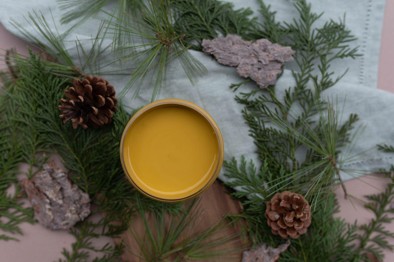 Overhead shot of 16 oz container of Yellowstone Silk All-In-One Mineral paint. Staged with pine cones and greenery.